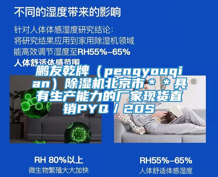 鵬友乾牌（pengyouqian）除濕機北京市＊＊具有生產能力的廠家現(xiàn)貨直銷PYQ／20S