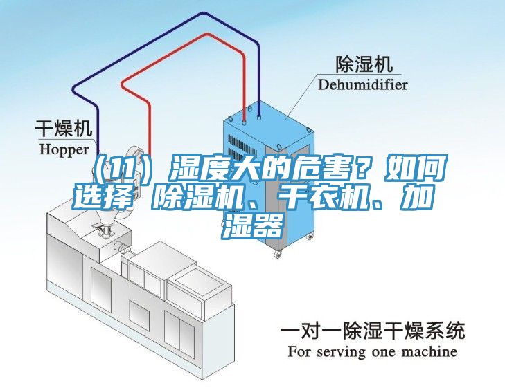 （11）濕度大的危害？如何選擇 除濕機(jī)、干衣機(jī)、加濕器