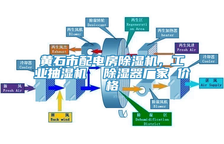 黃石市配電房除濕機，工業(yè)抽濕機  除濕器廠家 價格