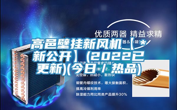 高邑壁掛新風機【＊新公開】(2022已更新)(今日／熱品)